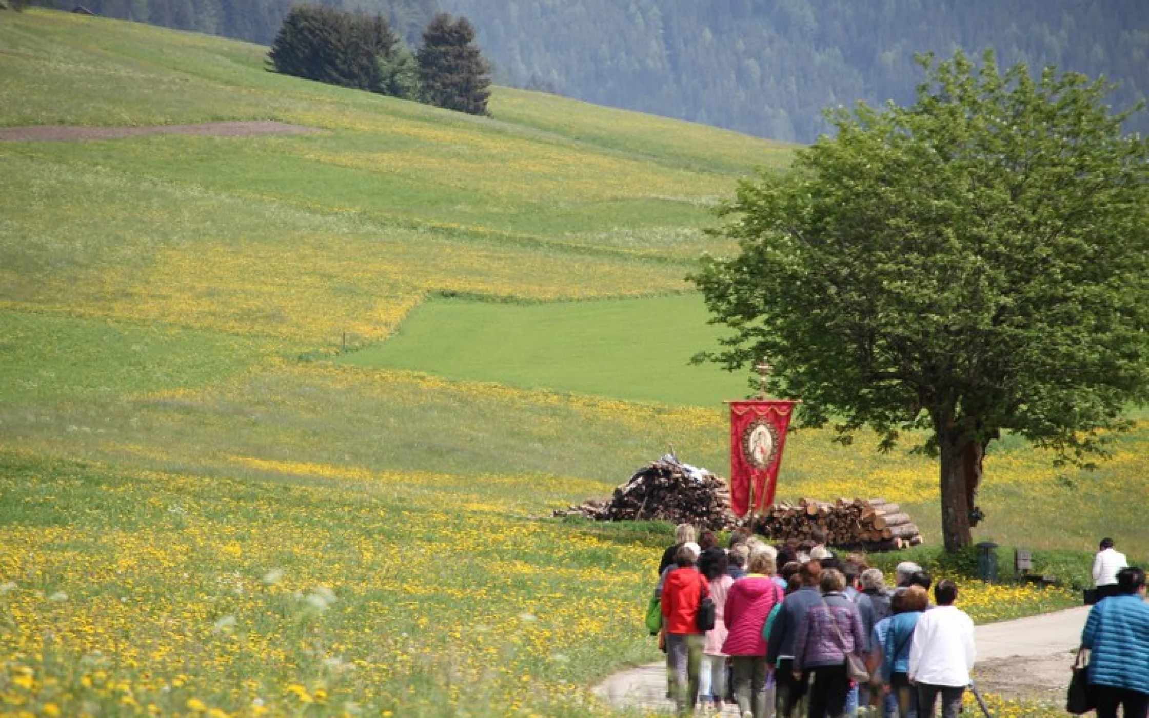 Bezirkswallfahrt Pustertal 2018SBO_IMG_0535 95_800x533.JPG